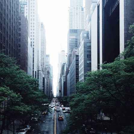 there is a photo of a tree-lined avenue in a city center with skyscrapers in the background